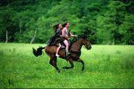 Braveheart – L-R: Murron MacClannough (Catherine McCormack) und William Wallace (Mel Gibson)