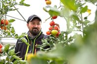 Im Bauch von ... – Gemüsegärtner Constantin Maftei arbeitet auf Gut Wulfsdorf. Hier, nordöstlich von Hamburg, betreibt man biodynamische Landwirtschaft.