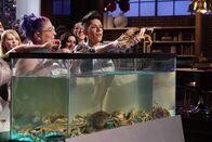 MasterChef USA – Mi, 29.05., 07:00 Uhr