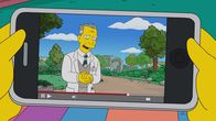 Die Simpsons – Walter Hotenhoffer