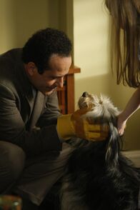 Monk – Adrian Monk (Tony Shalhoub) kann nicht zulassen, dass der Hund Shelby in der Tötungsstation landet und nimmt ihn kurzerhand bei sich auf. Ob das gut geht?