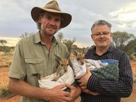 Australien-Saga – Christopher Clark (r.) mit "Kangaroo Dundee" Chris Brolga Barns (l.), der verlassene Babys der Beuteltiere aufzieht.