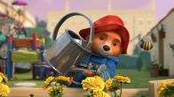 Paddingtons Abenteuer – Paddington