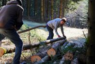 Hoagascht – Hans und Monika Friedl bei der Holzarbeit im Wald, während ServusTV's Hoagascht AT "Winterhandwerk am Bauernhof" in Unterweißenbach, Oberösterreich, Österreich am 30.01.2024.