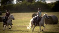 HipHorses – Endlich! Der erst lange GelĂ¤ndeausritt fĂĽr Mia mit CharlyÂ