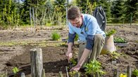 Rasch durch den Garten – Rasch durch den Garten (2021)