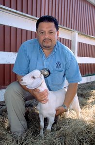 Tierpolizei Houston – Mi, 12.11., 06:00 Uhr