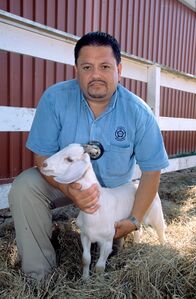 Tierpolizei Houston – Mo, 10.11., 07:00 Uhr