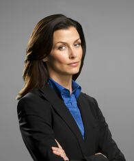 Blue Bloods - Crime Scene New York – Blue Bloods - Crime Scene New York (2024)