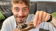 Jason und die Haustiere – Jason mit einem Hirschkäfer.