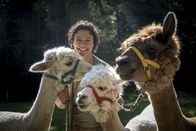 Terra Mater – Moderatorin Birgit Peters mit Alpakas im Naturpark Hohe Wand