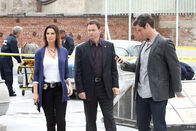 CSI: NY – CSI: NY (2010)