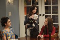 Last Man Standing – Auf dem Nachhauseweg fährt Mike einen kleinen Hund an, der kein Herrchen zu haben scheint. Seine Töchter Mandy (Molly Ephraim, l.), Kristin (Alexandra Krosney, M.) und Eve (Kaitlyn Dever, r.) verlieben sich sofort in den kleinen Vierbeiner und wollen ihn behalten ...