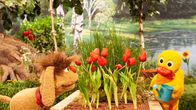 Unser Sandmännchen – Es ist sehr heiß. Schnatterinchen gießt ihr Blumenbeet.