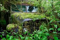 Patina-Paradiese – Innerhalb weniger Wochen hat die Natur die verrosteten Wagen zurückerobert.
