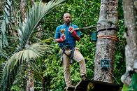 Death in Paradise – Death in Paradise (2025)