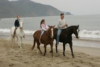 Navy CIS – Während sein Team um sein Leben bangt, träumt Gibbs (Mark Harmon, r.) von seiner ersten Frau Shannon (Darby Stanchfield, l.) und seiner Tochter Kelly (Mary Mouser, M.) und erinnert sich an die glücklichen Momente die sie zusammen verbrachten bis die beiden ermordet wurden ...