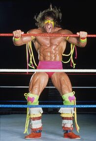 Biography: WWE Legends – Sa, 16.07., 20:15 Uhr