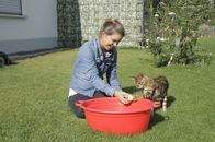 Anna und die Haustiere – Anders als die meisten Katzenrassen gehen Bengalen gerne ins Wasser.