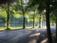 Münchens große Straßen – Die Nymphenburger ist die königliche unter Münchens Straßen. Gleich beim Kanal geht sie los.
