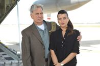 Navy CIS – Stehen vor einem Rätsel: Gibbs (Mark Harmon, l.) und Ziva (Cote de Pablo, r.) ...