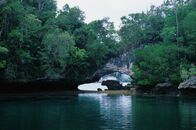 Wilde Schätze des Äquators – Limestone overhangs on islets at Raja Ampat, Indonesia.(NHNZ)