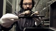 Das große Museum – "Das große Museum", Mehr als zwei Jahre hat sich Johannes Holzhausen im Kunsthistorischen Museum in Wien umgesehen. Der Film zeigt routinierte Handgriffe, vor allem aber lebhafte Mikrodramen, in denen die Arbeitskräfte als interessante Protagonisten hervortreten. Ein neugieriger, verschmitzt humorvoller Blick hinter die Kulissen einer weltberühmten Kulturinstitution. Der tägliche Routinebetrieb, in Bezug zur Tradition des Hauses.Regie: Johannes HolzhausenHergestellt in Zusammenarbeit mit dem ORF Film/Fernseh-Abkommen