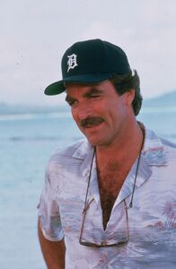 Magnum – Magnum (Tom Selleck) bekommt Besuch von seiner Tante Phoebe. Diese ist eine preisgekrönte Theaterschriftstellerin und eine wahre Freude für Higgins und Agatha. Doch Phoebe ist nicht nur wegen eines Verwandtschaftsbesuchs auf der Insel ...