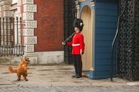 Garfield 2 – Garfield versucht mit allen Mitteln ein Mitglied der Gardeinfanterie aus dem Konzept zu bringen.