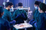 The Good Doctor – The Good Doctor (2018)
