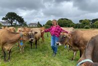 Wunderschön! – Tamina Kallert und die „Jersey Girls“ – die Kühe aus Jersey.