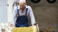 Löwenzahn Classics – Peter (Peter Lustig) hat ein schönes, altes Sofa geschenkt bekommen. Um es besser transportieren zu können, legt er es auf zwei Achsen mit Rädern.