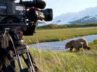Unter Grizzlys – Ein 25 mannstarkes Team von Top Wildlife - Kameraleuten und Bärenexperten schlägt für einige Wochen ihre Zelte mitten im Eldorado der Grizzlys auf. Mit großem technischen Aufwand gelingt es, den Zuschauer so tief in das Leben und Treiben der Bären eintauchen zu lassen, wie es bisher noch nicht gelungen ist. Noch nie wurden die Grizzlys in Nordamerika filmisch so intim, so außergewöhnlich nah portraitiert wie in dieser Koproduktion.
