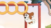 Bluey – Bingo