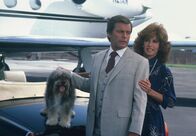 Hart aber herzlich – Jonathan Hart (Robert Wagner, l.); Jennifer Hart (Stefanie Powers, r.)