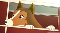 Lassie – Lassie wurde entführt und schaut nun besorgniserregend aus dem fahrenden Anhänger raus.
