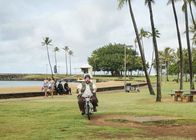 Hawaii Five-0 – Jerry Ortega (Jorge Garcia) naht, um das mystische Grab des hawaiianischen Königs zu finden - doch er weiß nicht worauf er sich einlässt ...