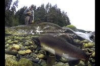 360° - Geo-Reportage – 360° - Geo-Reportage (2017)