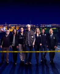 CSI: Vegas – CSI: Den Tätern auf der Spur (2013)