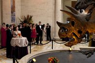 How I Met Your Mother – Ted (Josh Radnor, M.l.), Lily (Alyson Hannigan, M.M.), Marshall (Jason Segel, M.r.), Robin und Barney sind zu einem festlichen Empfang im Naturkundemuseum von New York eingeladen. Sie haben das der Tatsache zu verdanken, dass die drei Jungs inzwischen alle für die GNB arbeiten ...
