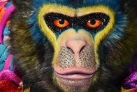 The Masked Singer – Person: King;