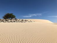 Im Land der Feuerberge – Der Wüstensand auf der Insel Boa Vista bildet die schönsten Sandstrände der Kapverden.