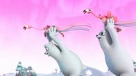 Wissper – Die Eisbären Bert und Barry helfen den Flamingos mit den bunten Bändern zu starten.