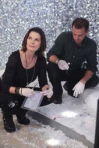 CSI: NY – CSI: NY (2010)
