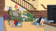 American Dad! – L-R: Steve, Roger, Hayley