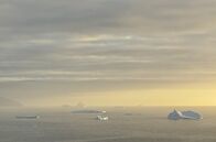 Wilde Welten – Eisberge prägen das Ökosystem: Sie ebnen den Meeresboden, gestalten die Landschaft und bieten zahlreichen Wildtieren einen wichtigen Lebensraum.