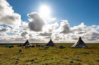 Sibirien: Eine Pipeline und die letzten Nomaden – Das indigene Nomadenvolk der Nenzen zieht in sogenannten Brigaden mit seinen Rentieren Tausende Kilometer durch die Weiten der Tundra Sibiriens.