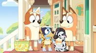 Bluey – Als Mamas Schwester Brandy zu Besuch kommt