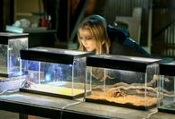 CSI: Vegas – CSI: Vegas (2014)