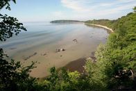 Wilde Ostsee – Auf den kalkigen Böden des Jasmund-Nationalparks wachsen Buchenwälder, so wie sie über Jahrhunderte weite Teile Mitteleuropas bedeckten.